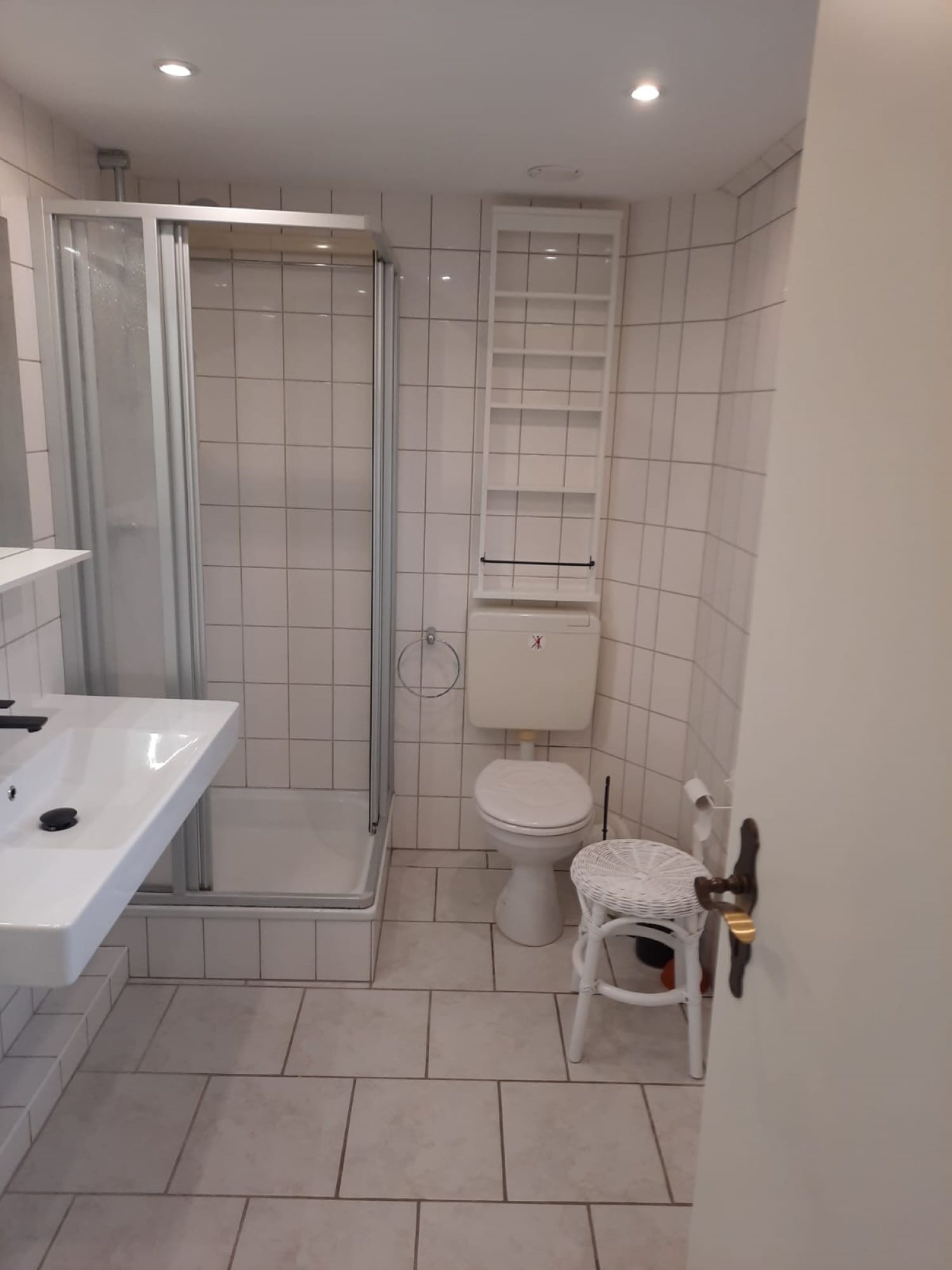Küstenrose