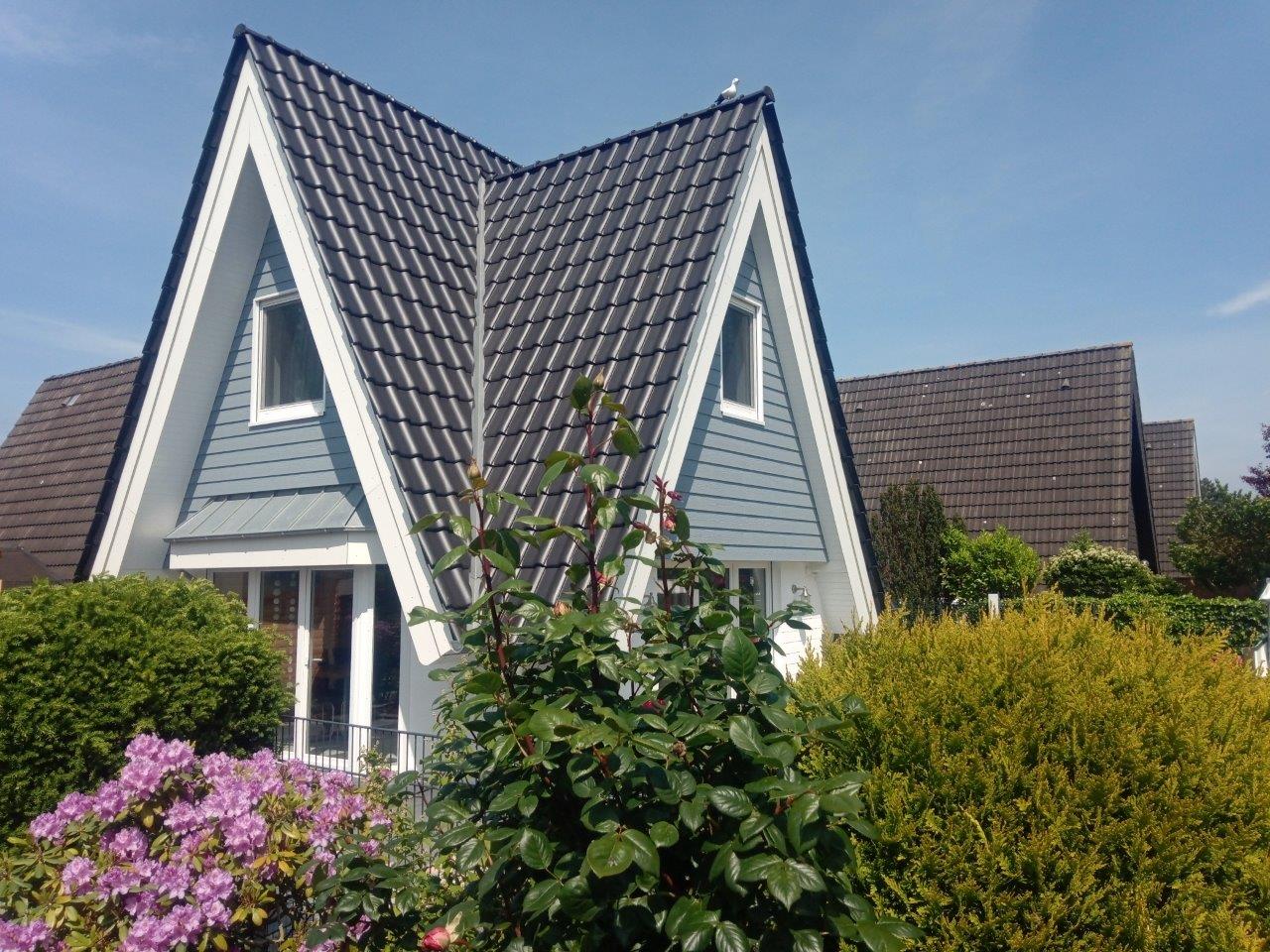 Ringwall 43