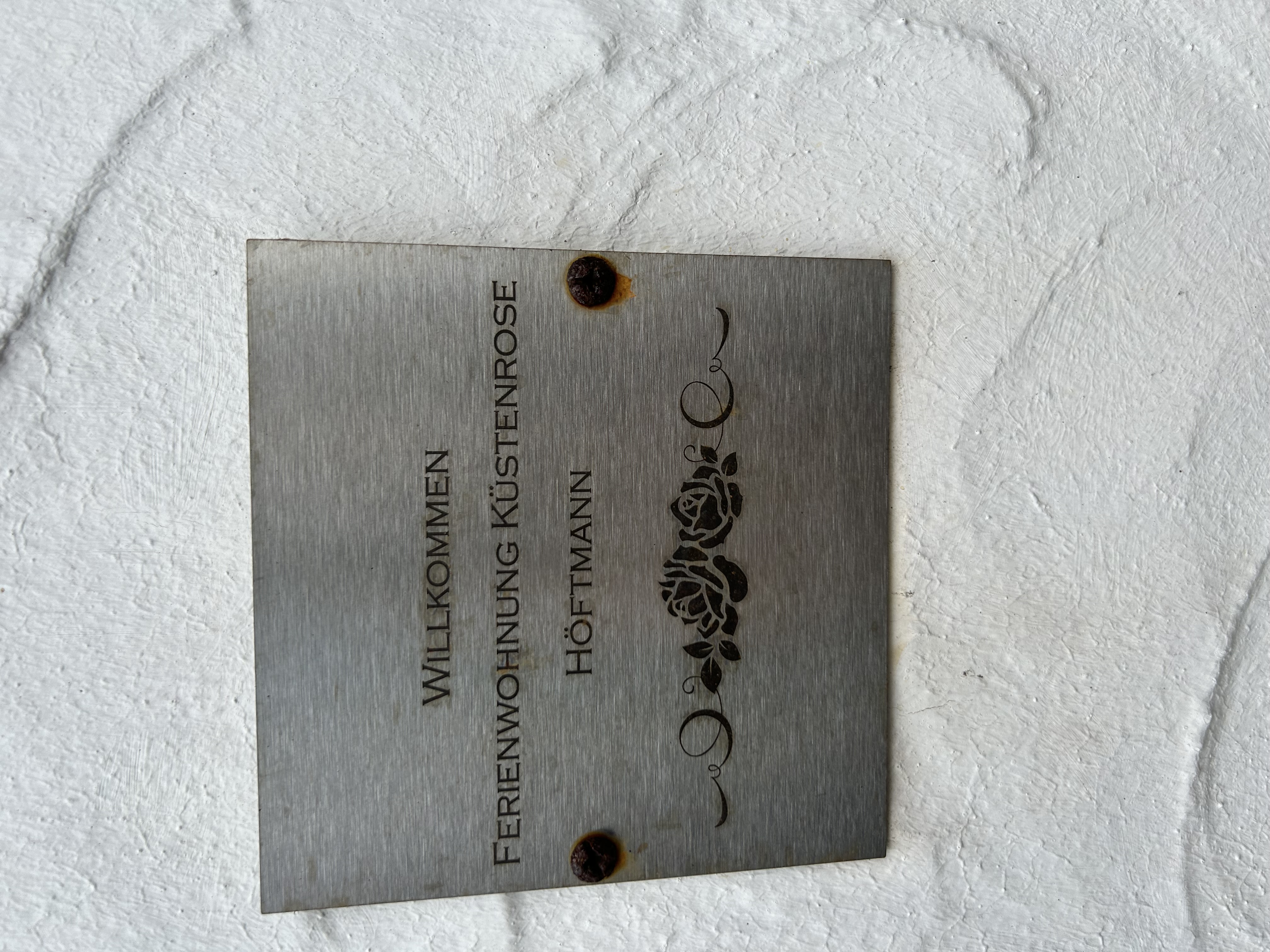 Küstenrose